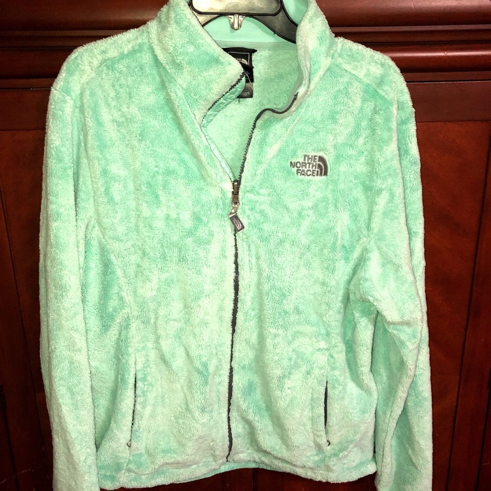 The north face jacket